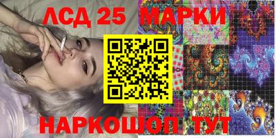 шишки Заволжье