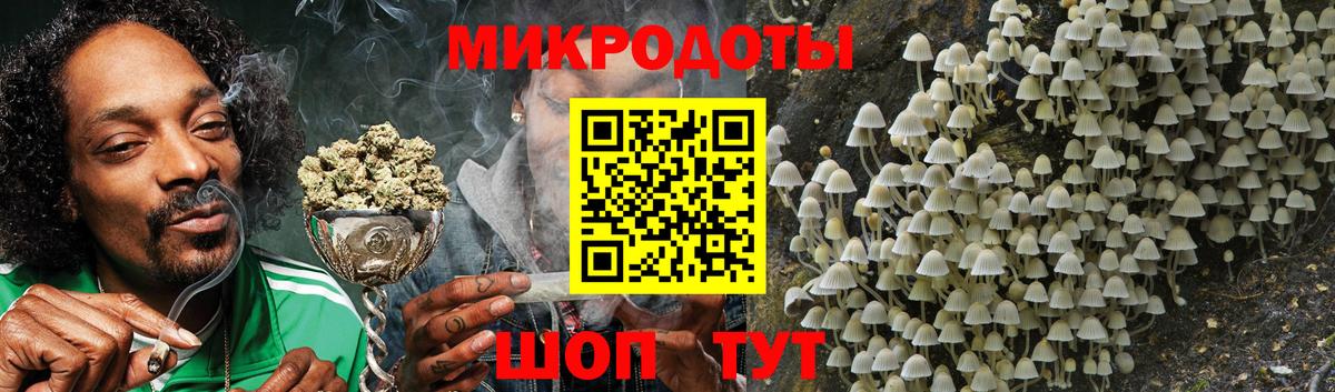 Псилоцибиновые грибы GOLDEN TEACHER  Вход с VPN  Кстово  Галлюциногенные грибы MAGIC MUSHROOMS 